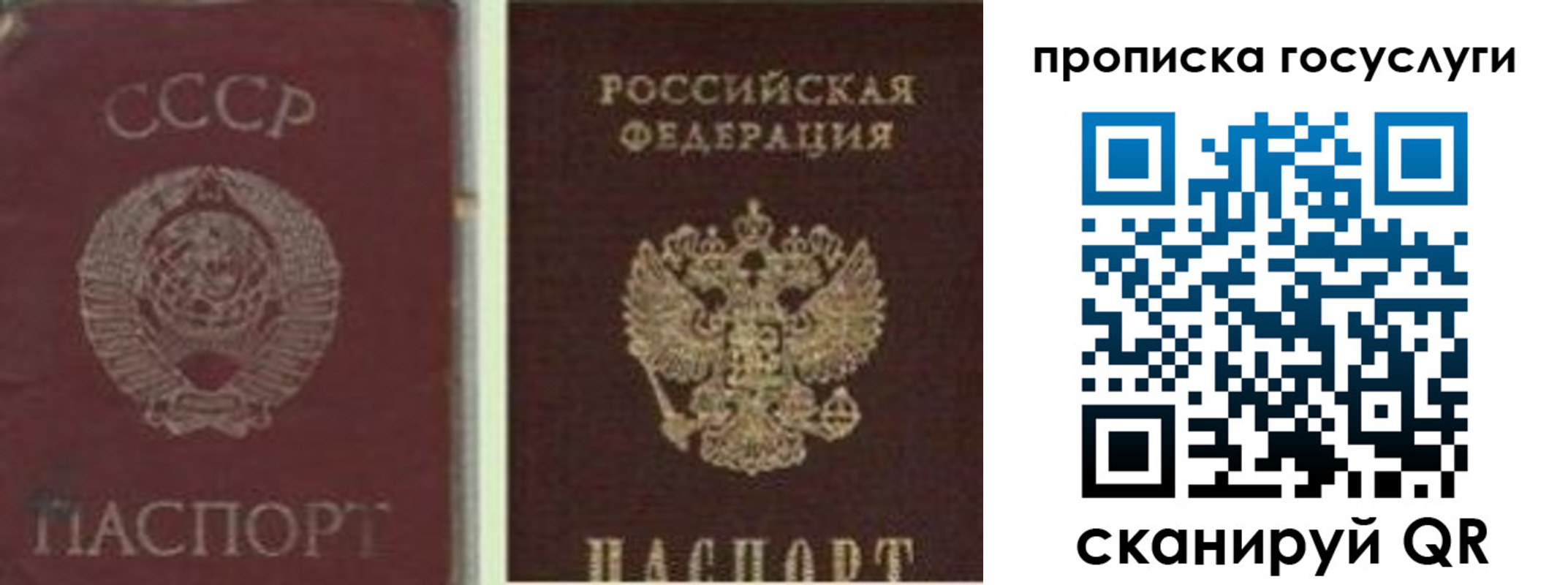 временная регистрация 2025 в Видном